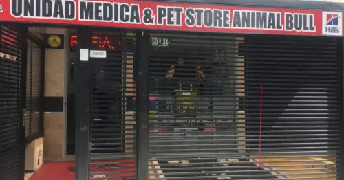 UNIDAD MEDICA & PET STORE ANIMAL BULL UNIDAD MEDICA & PET STORE ANIMAL BULL